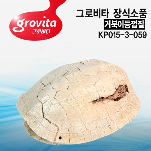 그로비타 거북이등껍질 장식소품(KP015-3-059)