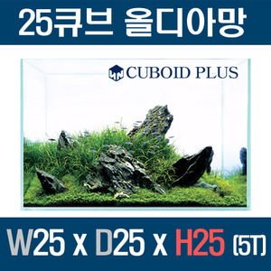 큐보이드플러스 25큐브 올디아망 252525 (5T)