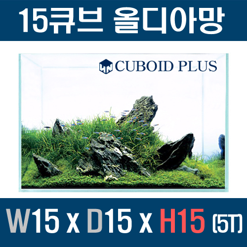 큐보이드플러스 15큐브 올디아망 151515 (5T)