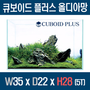 큐보이드 올디아망 플러스 35x22x28 (5T)