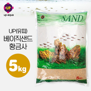 UP(유피) 베이직 샌드 BASIC SAND (황금사) 5kg