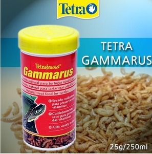 테트라 감마루스(250ml)