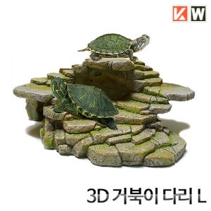 3D 거북이 다리 (L)